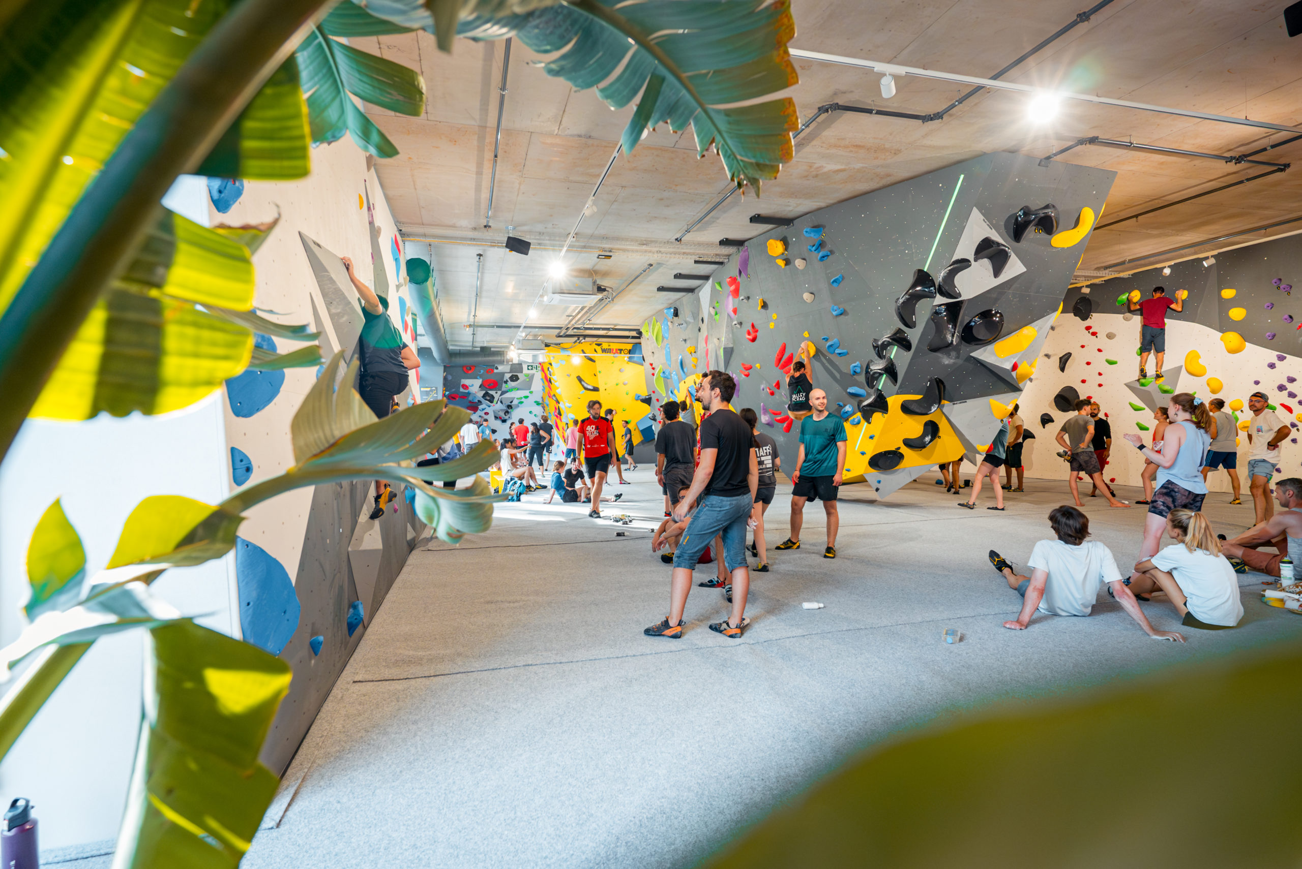 26-06-23-PlanetClimbingPLO-@maxime_mro-GVA2023-8