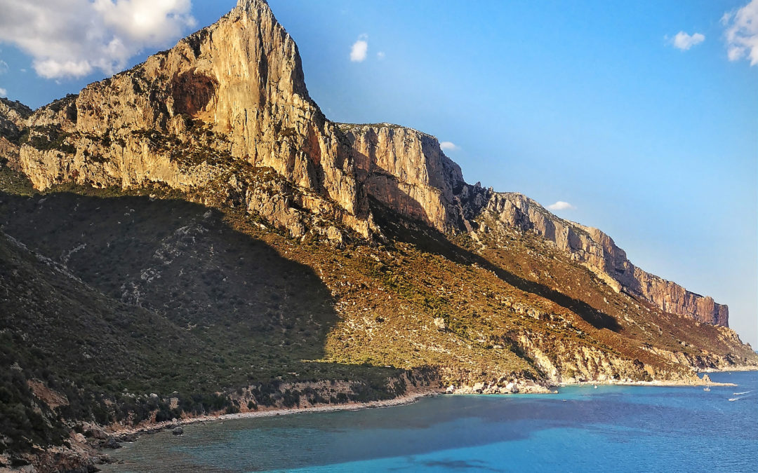 IMG_20210929_162434-01