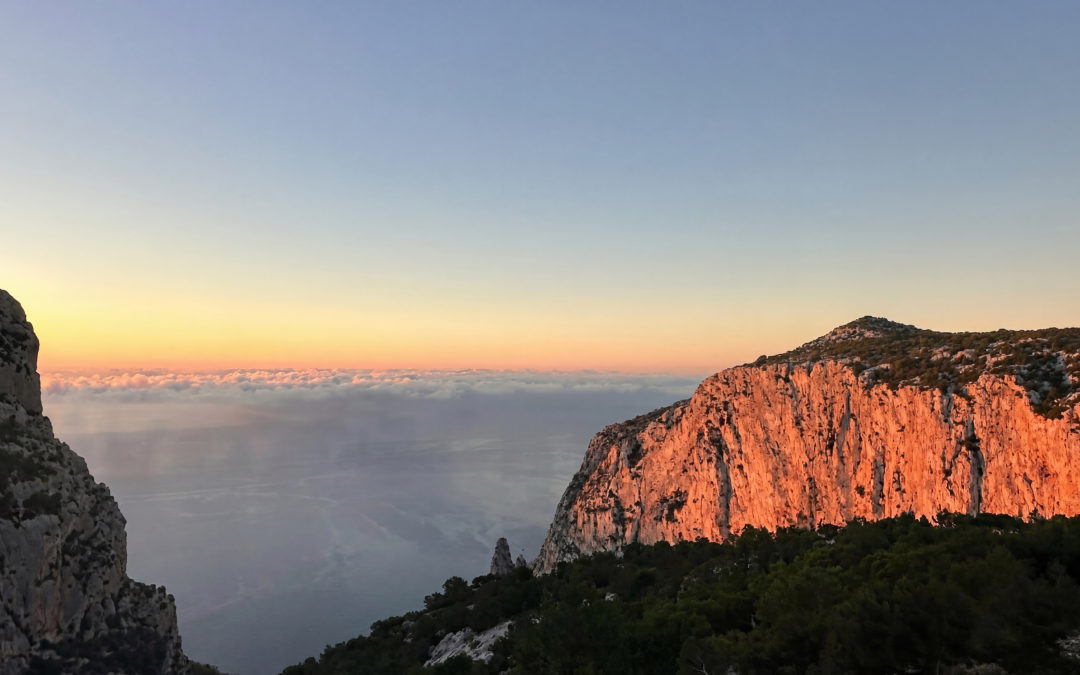 image_-yNhiCXN_1766687969525_raw